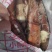 鱿鱼，冷冻大鱿鱼，新鲜船冻，烧烤酒店都可以用，一件25斤
