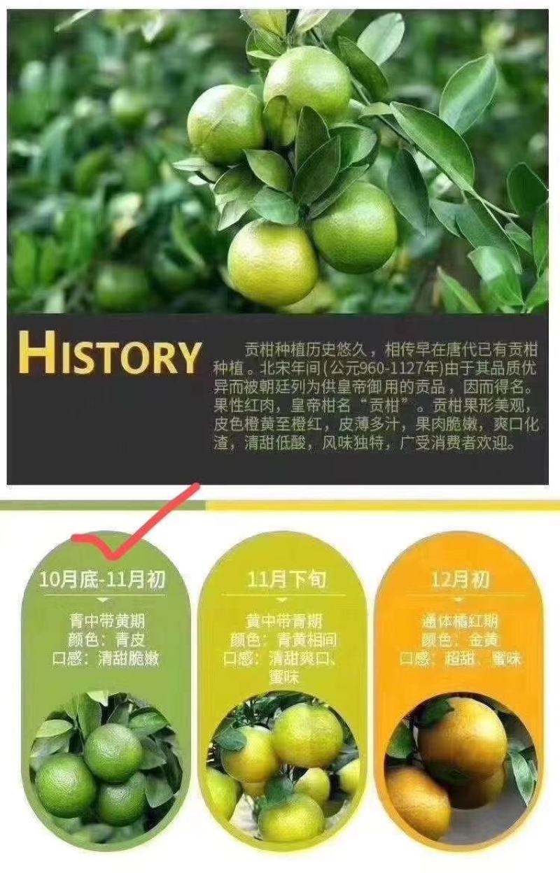 特产:正宗德庆《贡柑》又名皇帝柑10斤1件