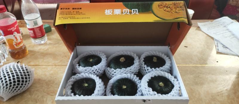产地直销宝宝辅食孕妇老人皆宜沙漠贝贝南瓜