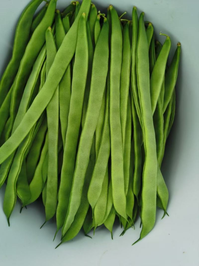 云南保山昌宁精品扁豆上市了！货源充足，质量上乘。优质产区