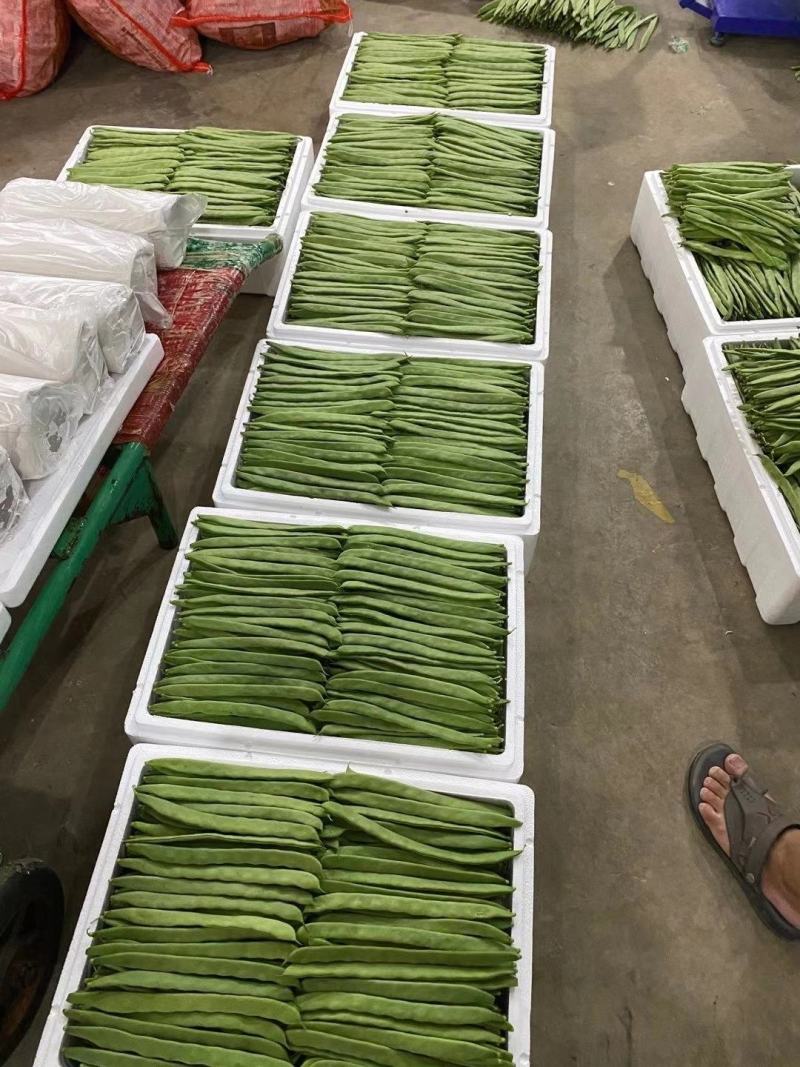 云南保山昌宁精品扁豆上市了！货源充足，质量上乘。优质产区