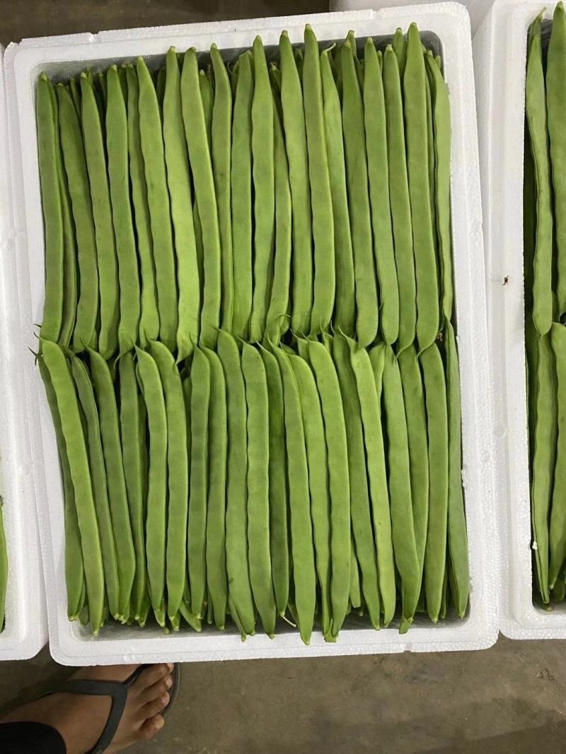 云南保山昌宁精品扁豆上市了！货源充足，质量上乘。优质产区