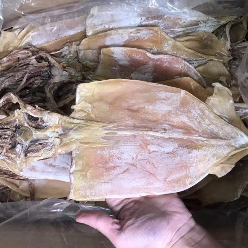 北海大鱿鱼鱿鱼丝鱿鱼干