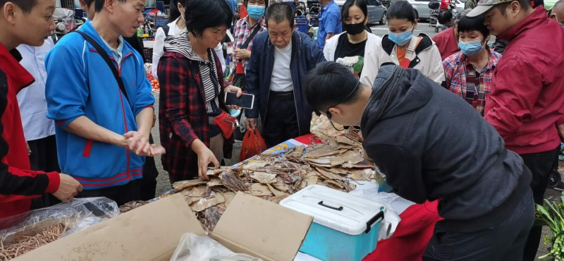 北海大鱿鱼鱿鱼丝鱿鱼干