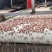 河南正阳白沙花生米食品厂超市电商专用规格花生米可开发票