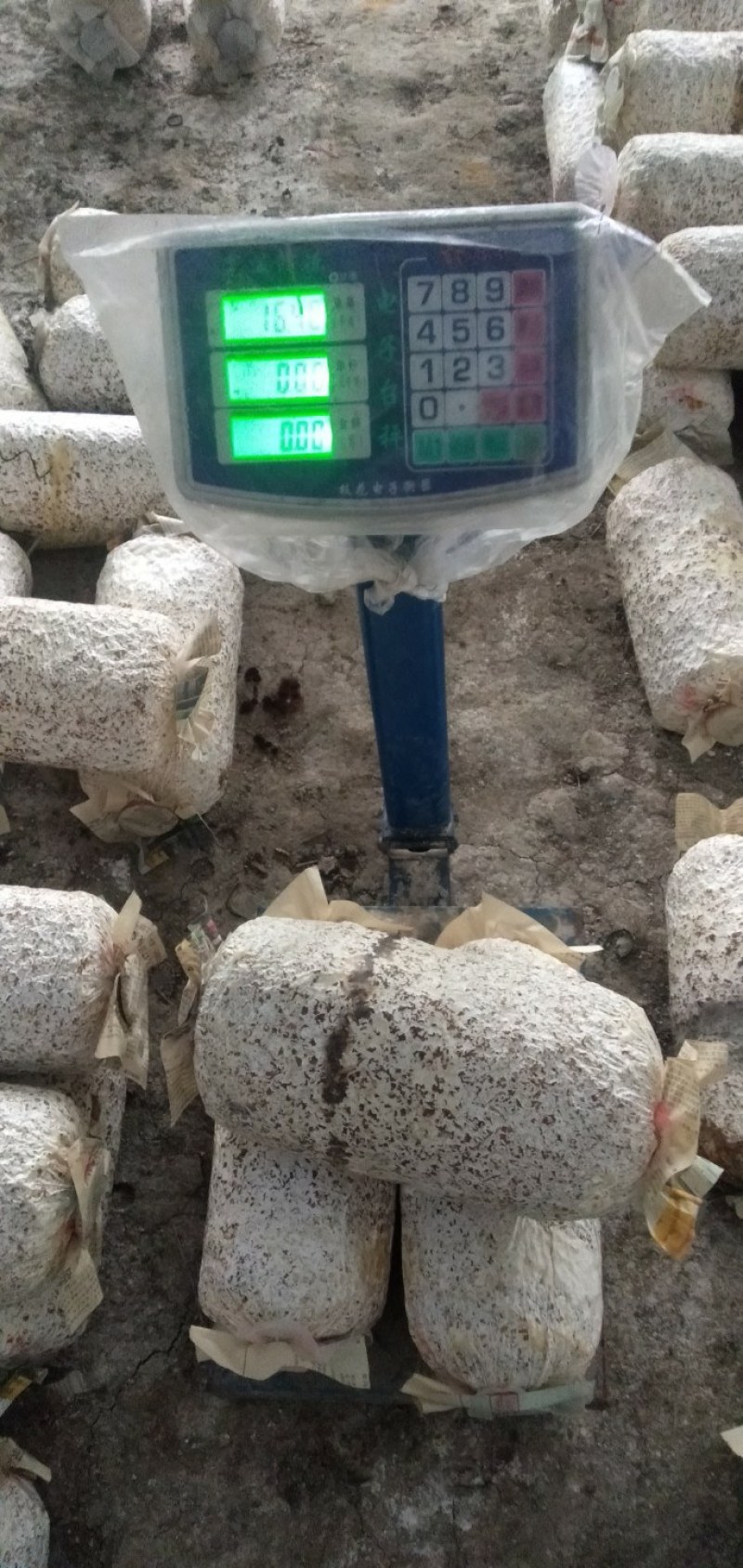 持续发货中，需要的抓紧！