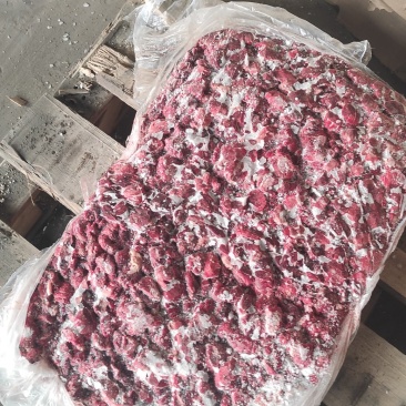 鸡肺，大厂货质量好价格低，养殖企业用优质蛋白饲料
