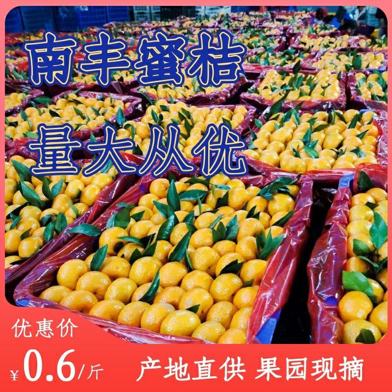 广西南丰蜜橘皮薄肉甜一手货源越南货电商市场批发