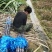 精品甘蔗基地现砍现发、可视频看货、提供回头车、一条龙服务