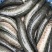 黑鱼：垂钓专用，塘口一手货源，可送货上门，价格优惠。