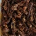现烤现卖，纯正牛肉干