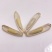 新疆阿克苏白马牙瓜子原味原香细长皮薄