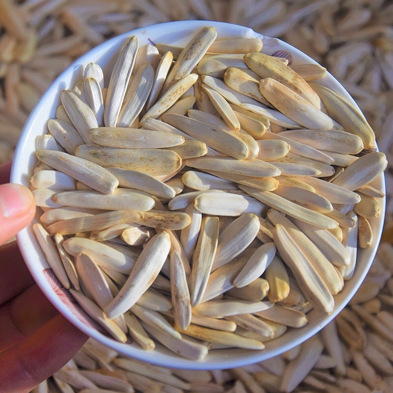 新疆阿克苏白马牙瓜子原味原香细长皮薄
