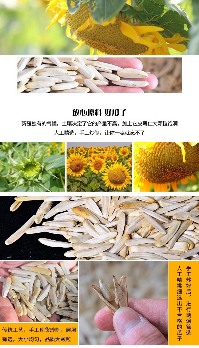 新疆阿克苏白马牙瓜子原味原香细长皮薄