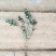 庭院别墅绿植珍珠梅树苗盆栽喷雪花白色梅花苗开花像