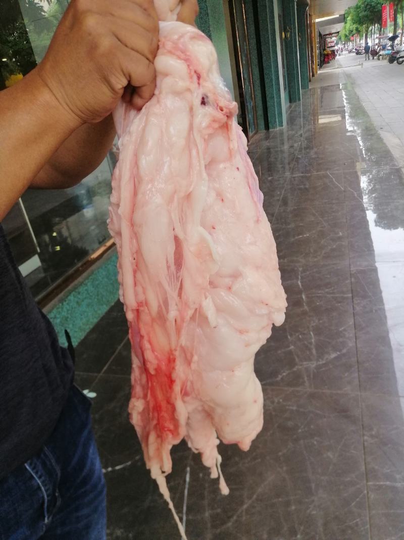 南宁地区每天新鲜猪板油