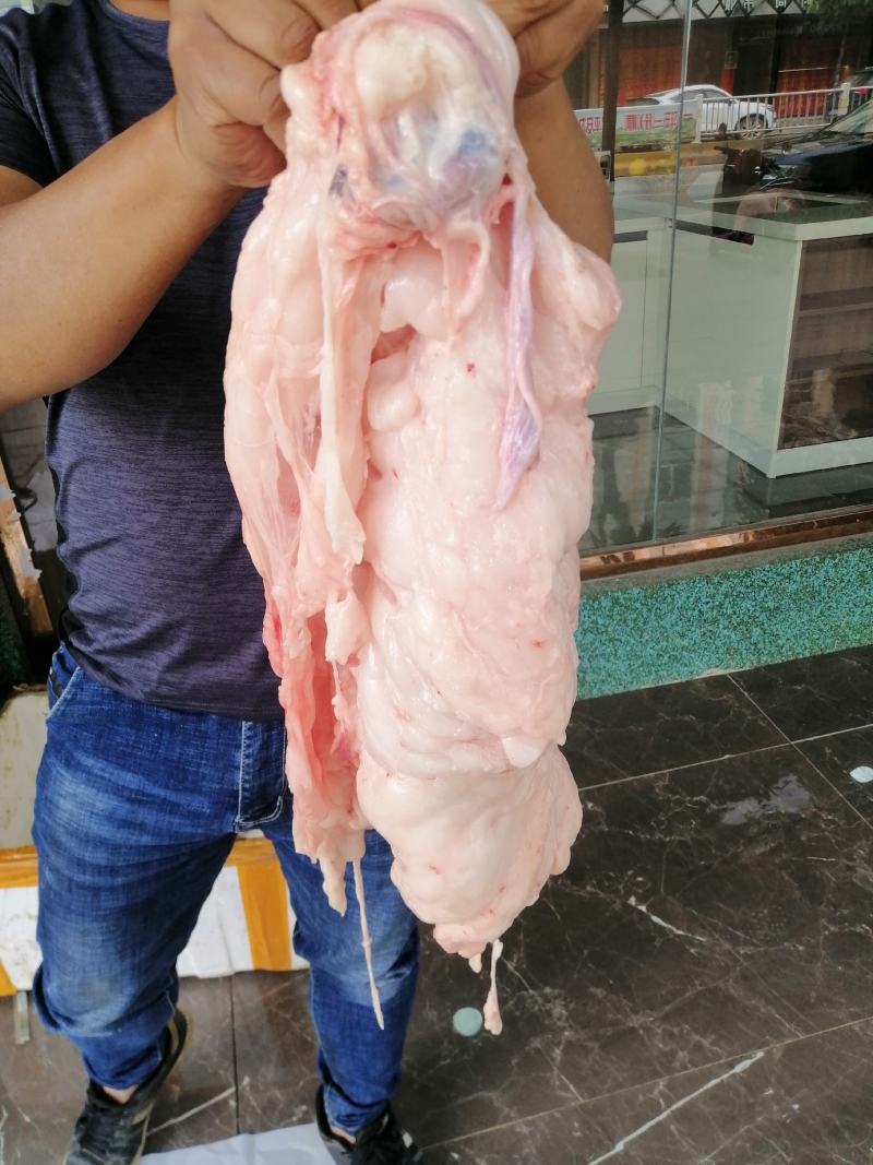 南宁地区每天新鲜猪板油