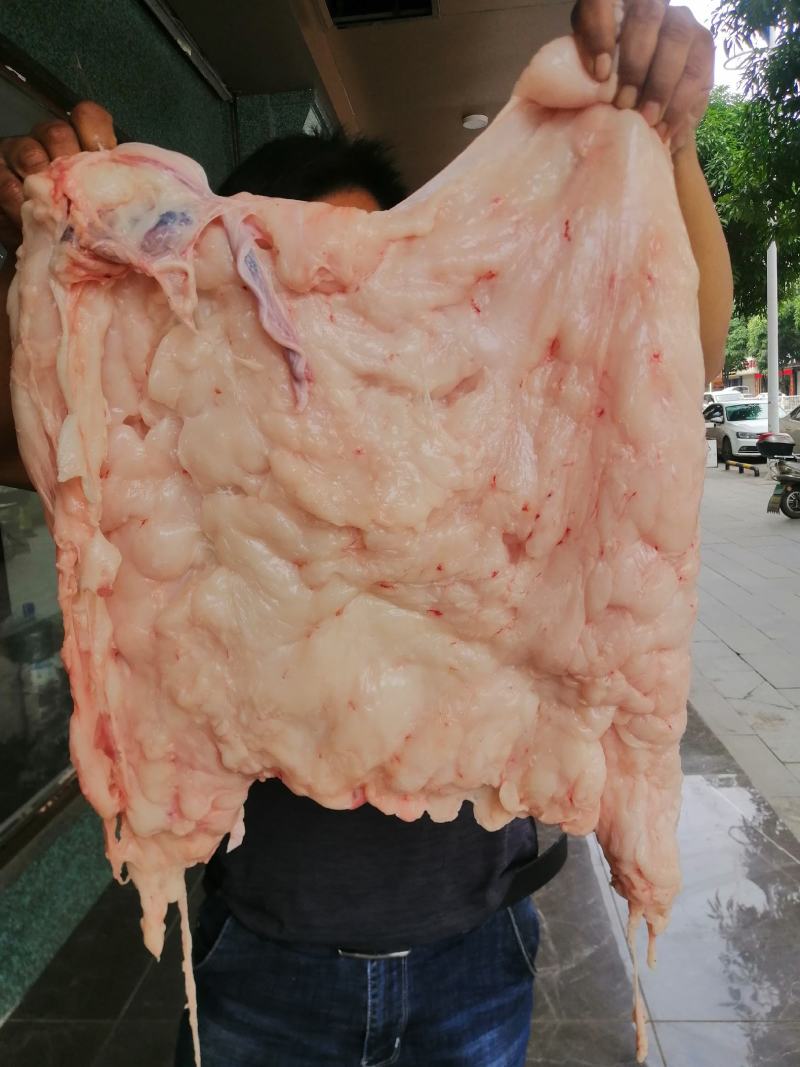 南宁地区每天新鲜猪板油