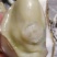 正宗红岛海蛎子已经50斤，150一包