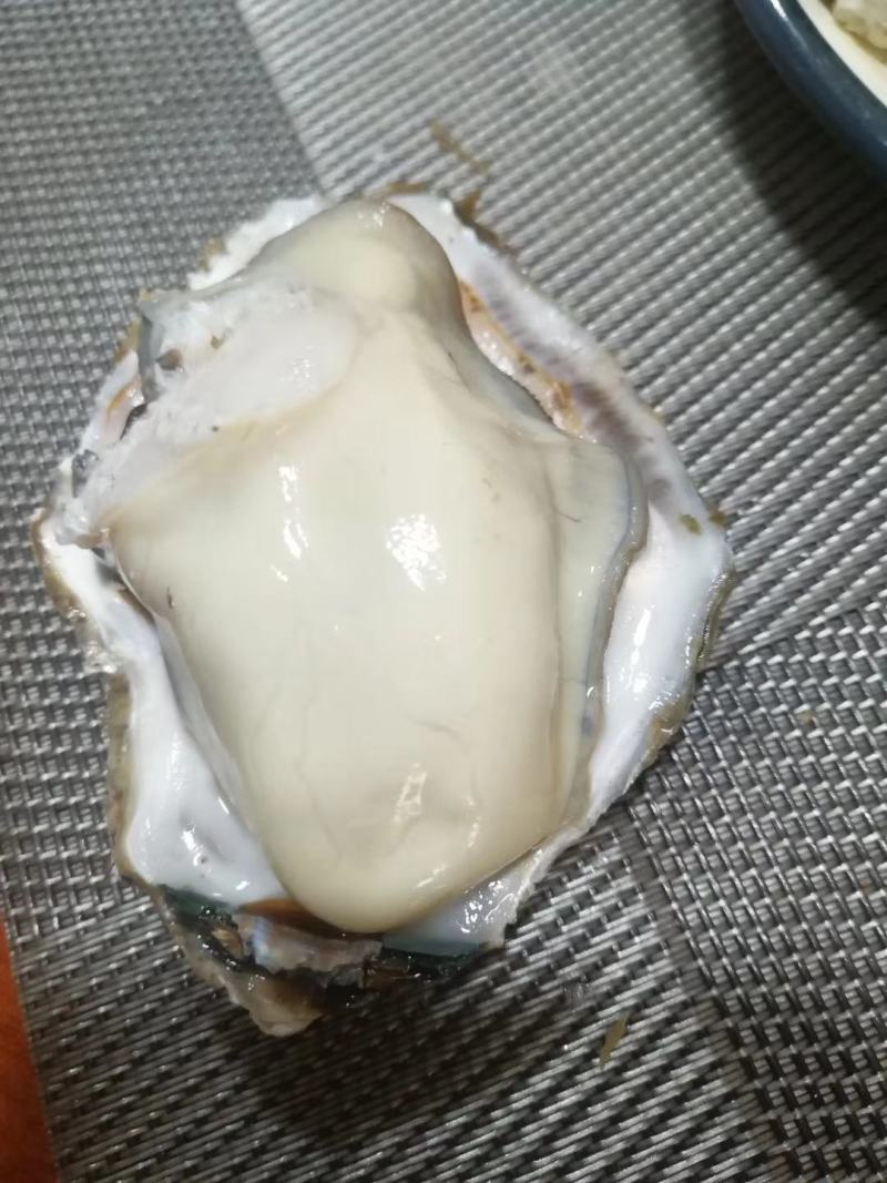 正宗红岛海蛎子已经50斤，150一包