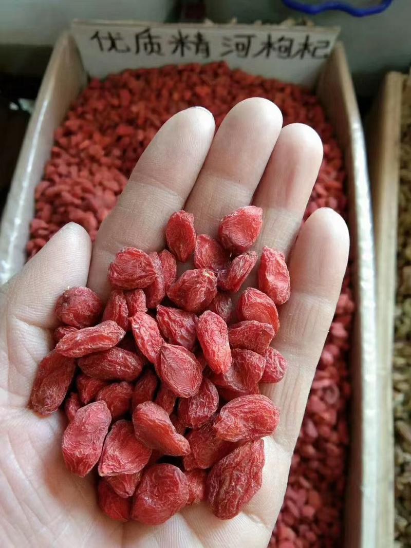 （特级头茬精品）新疆精河红枸杞新货，颗粒大，特产系列干果
