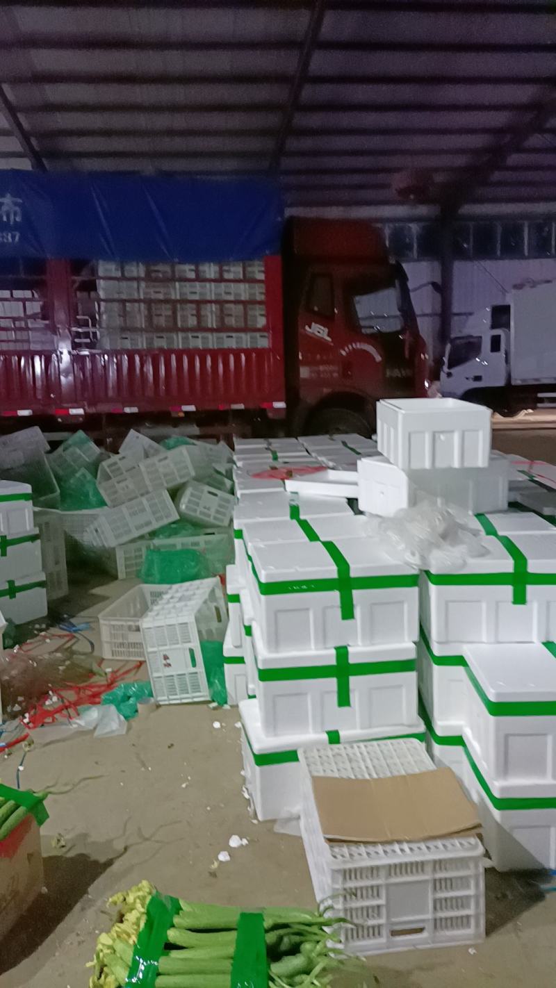 【丝瓜】精品鲜花丝瓜市场通货大量供应价格优惠