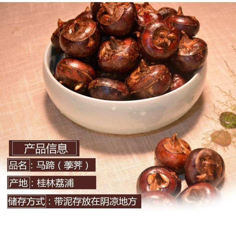 （一件代发）广西荔浦红皮马蹄脆甜化渣水果马蹄带泥发货