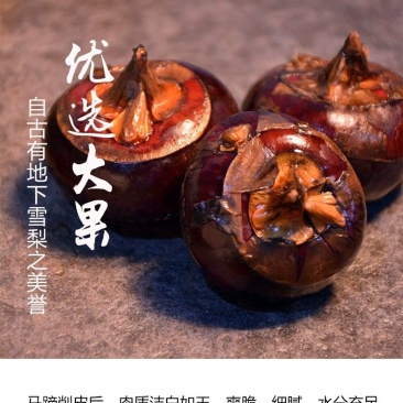 （一件代发）广西荔浦红皮马蹄脆甜化渣水果马蹄带泥发货