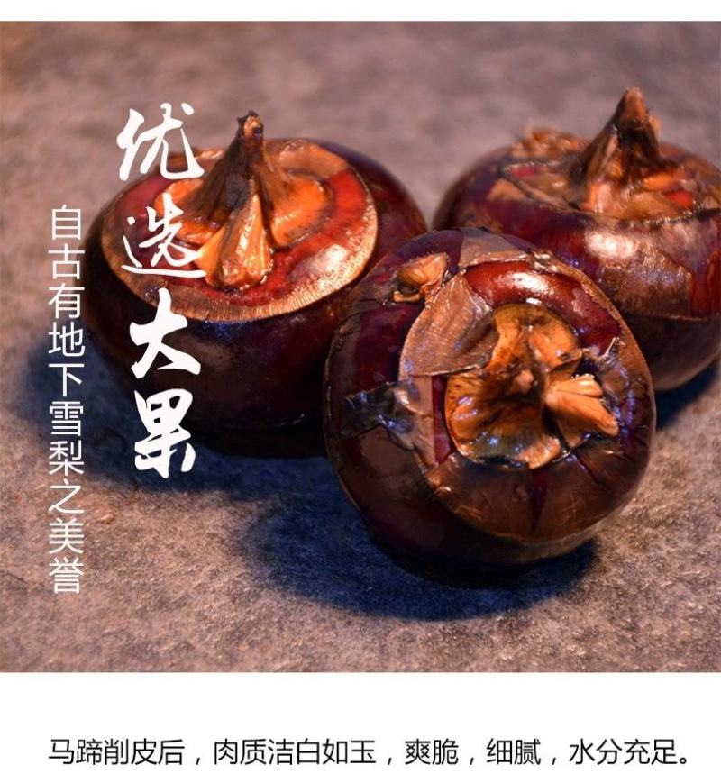 （一件代发）广西荔浦红皮马蹄脆甜化渣水果马蹄带泥发货