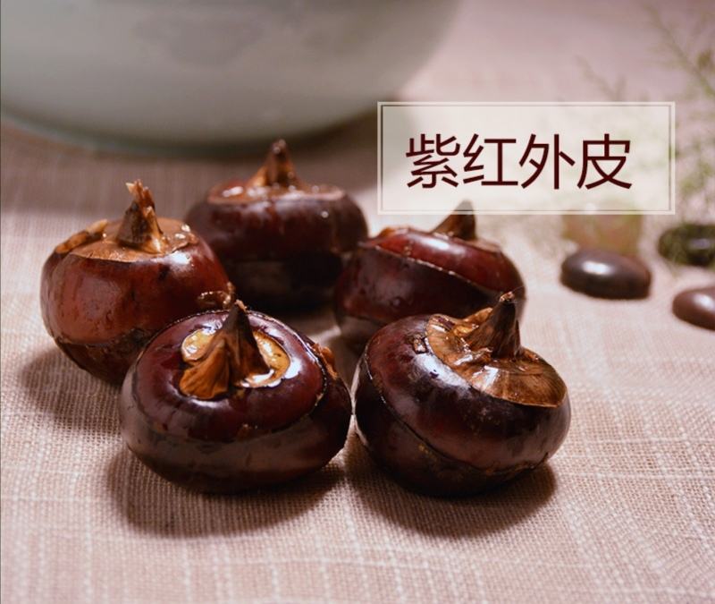 （一件代发）广西荔浦红皮马蹄脆甜化渣水果马蹄带泥发货