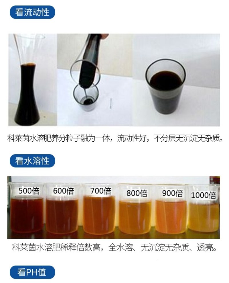 碳基科莱茵进口大量元素叶面冲施肥海藻聚能肥料蔬菜瓜果树