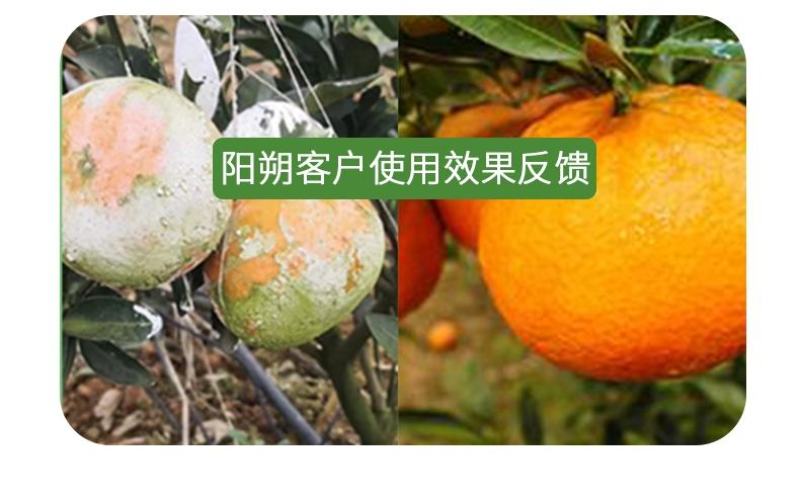阿逸多祛青苔产品1000g/袋白色粉剂