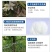 阿逸多祛青苔产品1000g/袋白色粉剂