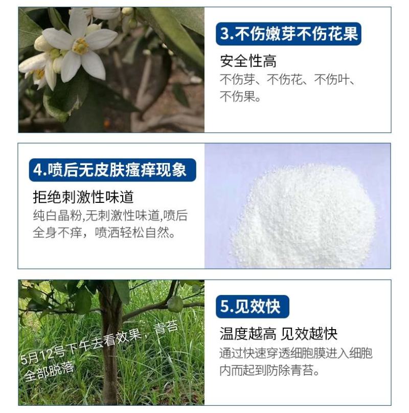 阿逸多祛青苔产品1000g/袋白色粉剂