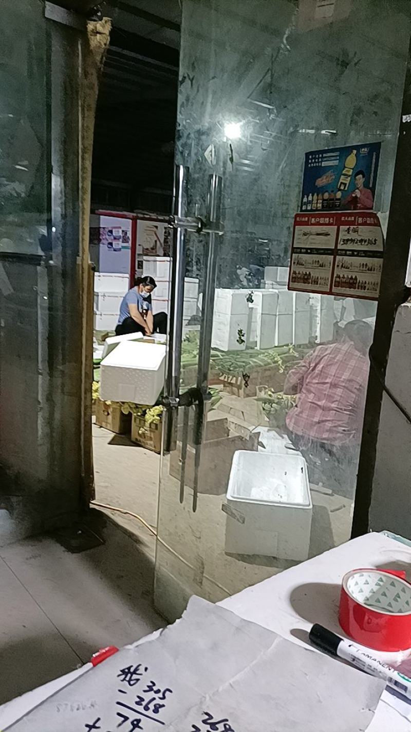 【丝瓜】精品鲜花丝瓜市场通货大量供应价格优惠