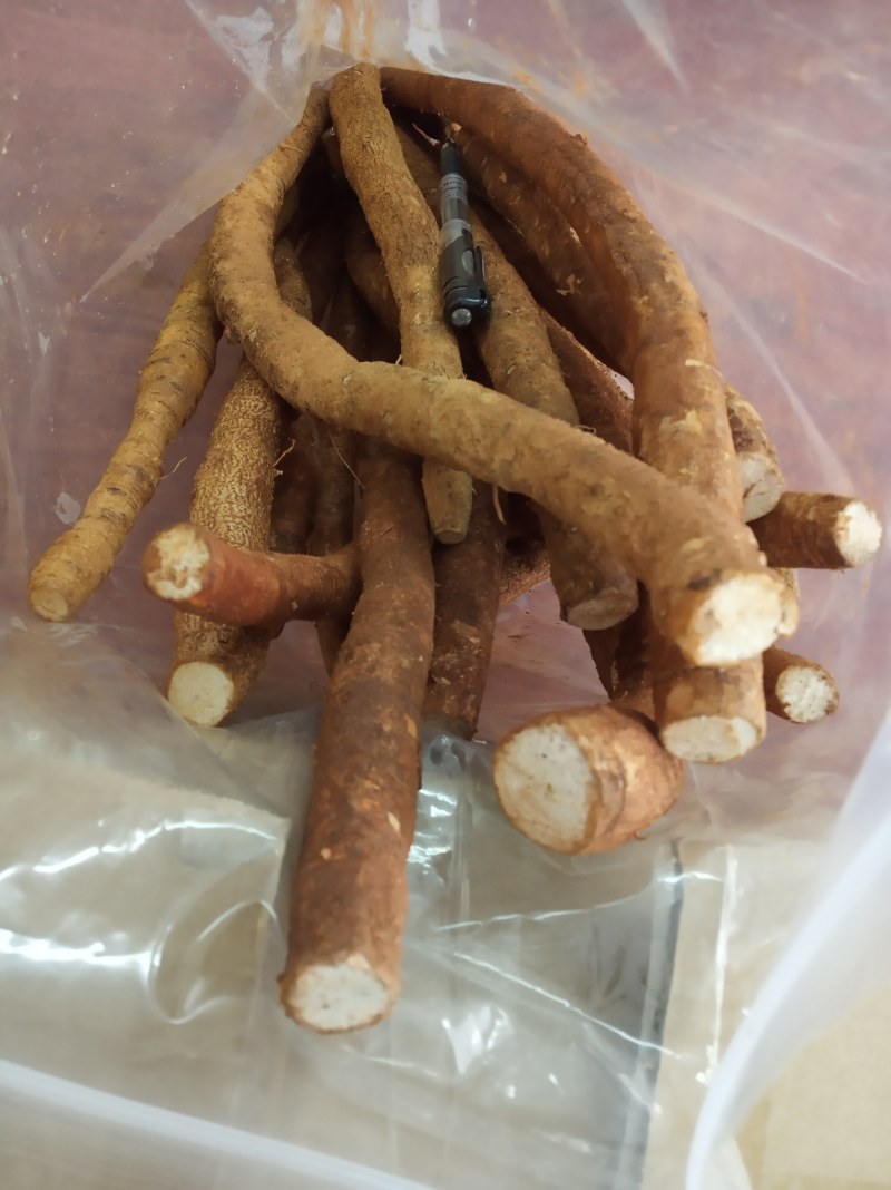 牛大力，鲜货，新鲜干净，专业批发