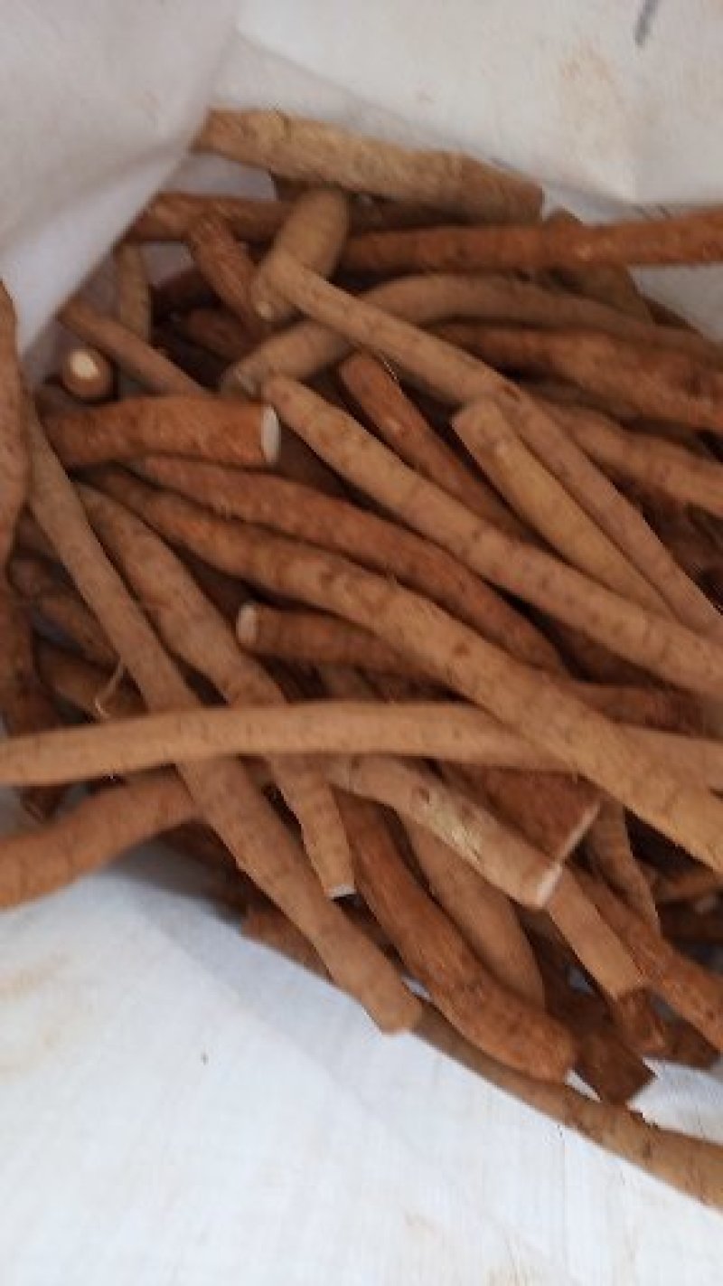 牛大力，鲜货，新鲜干净，专业批发