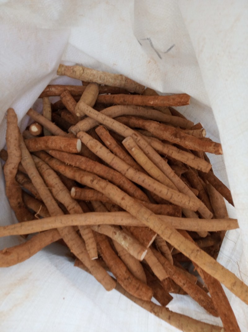 牛大力，鲜货，新鲜干净，专业批发