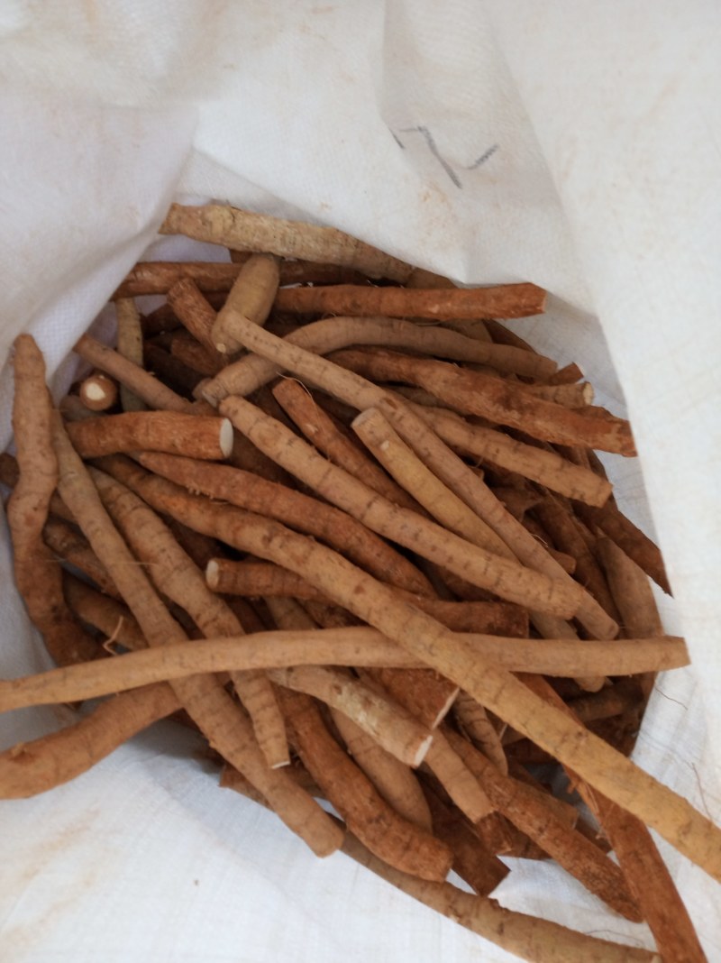 牛大力，鲜货，新鲜干净，专业批发