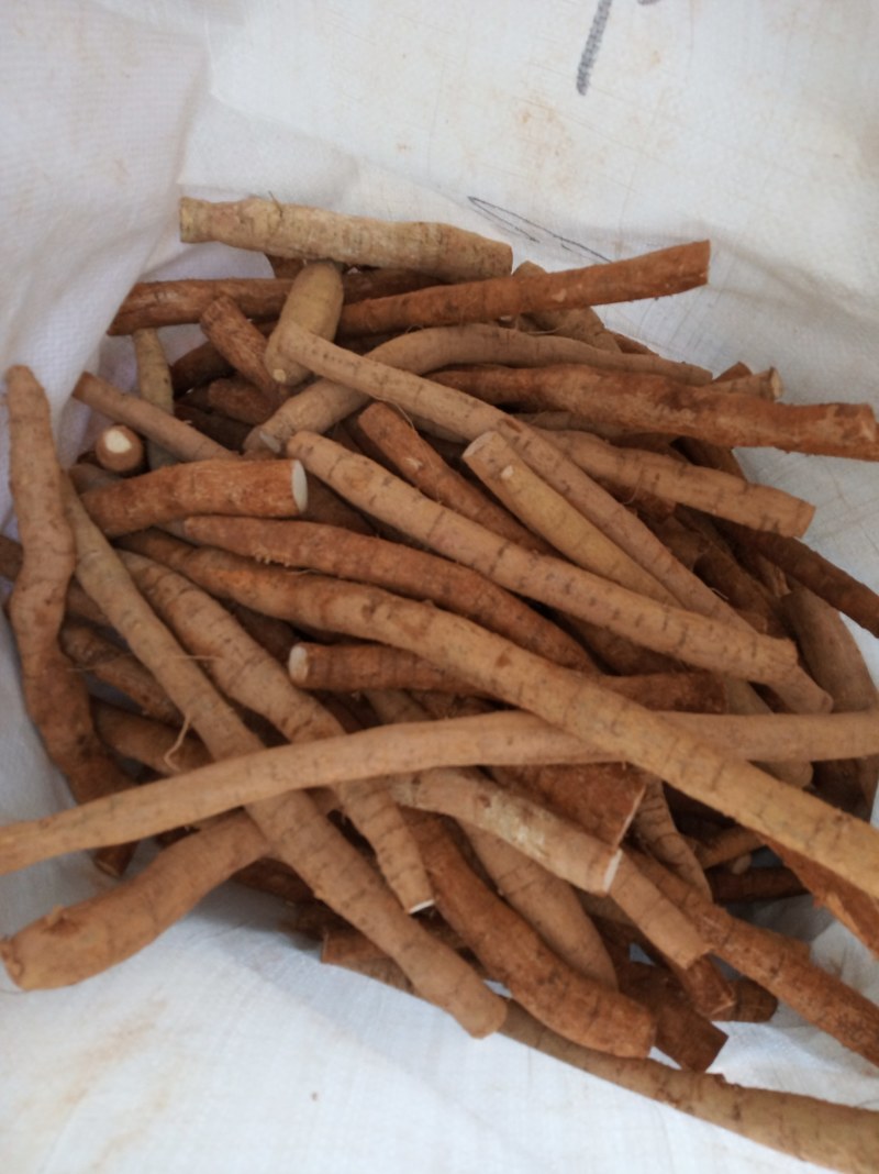 牛大力，鲜货，新鲜干净，专业批发
