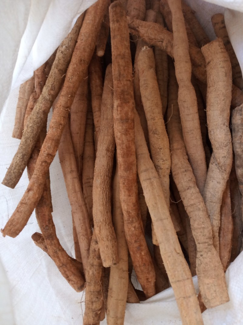 牛大力，鲜货，新鲜干净，专业批发