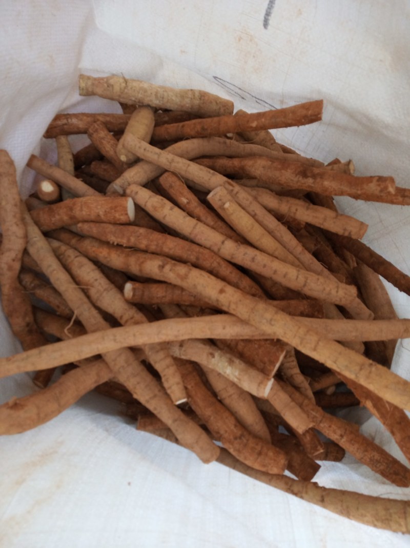 牛大力，鲜货，新鲜干净，专业批发