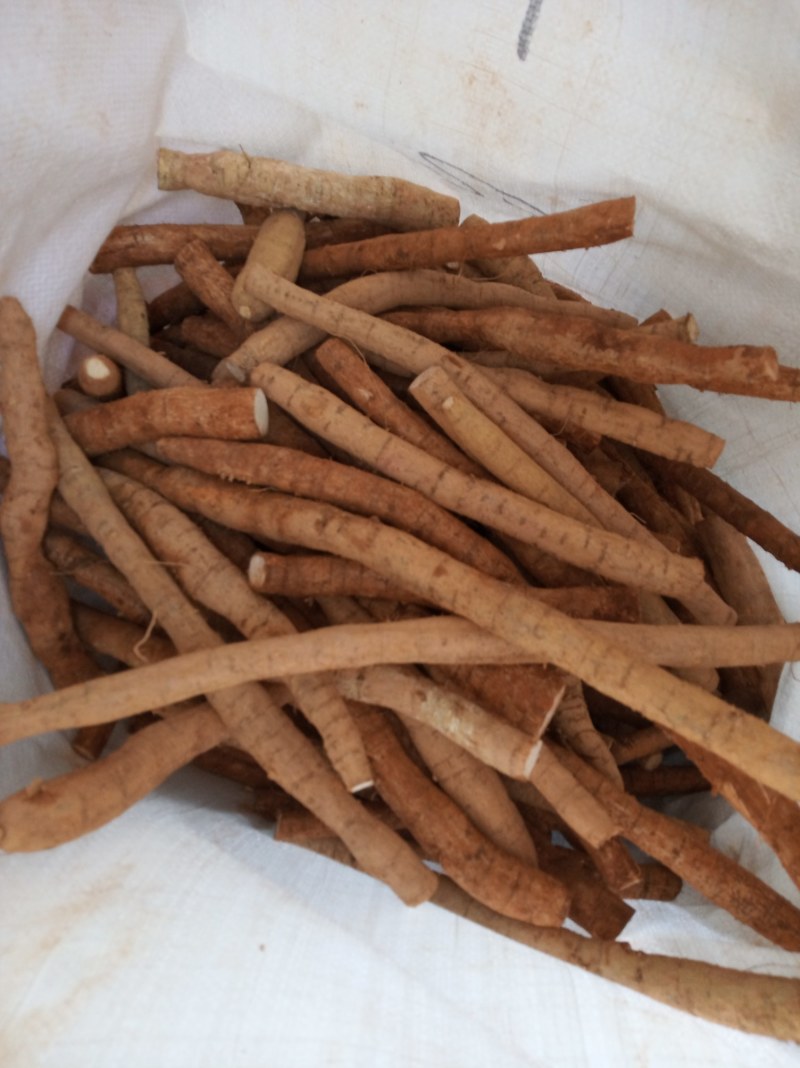 牛大力，鲜货，新鲜干净，专业批发