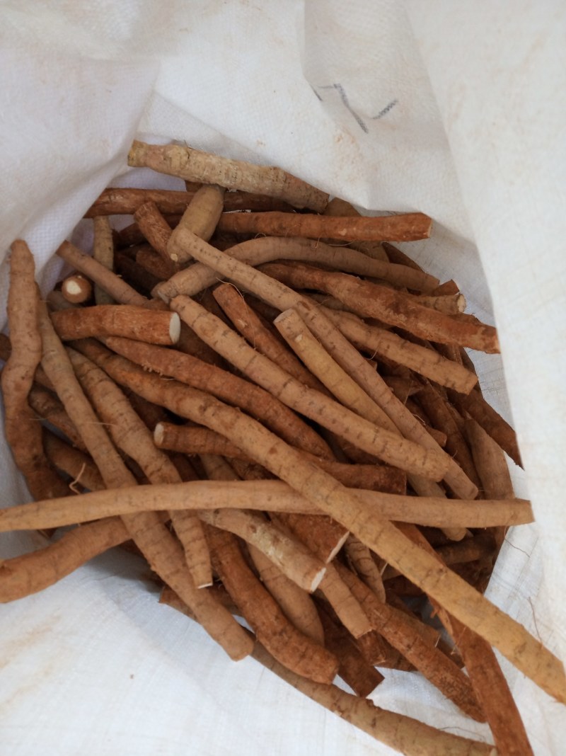 牛大力，鲜货，新鲜干净，专业批发