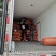 精品豌九长寿仁大量供应一手货源直供，欢迎致电