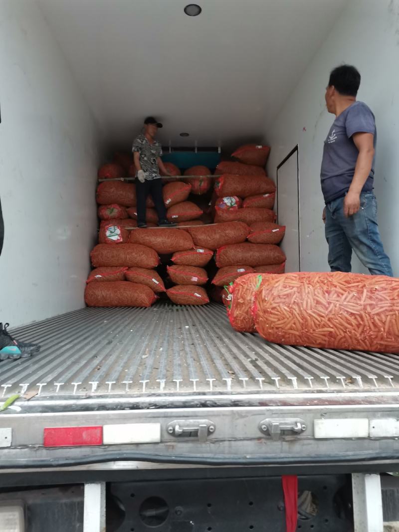 精品豌九长寿仁大量供应一手货源直供，欢迎致电