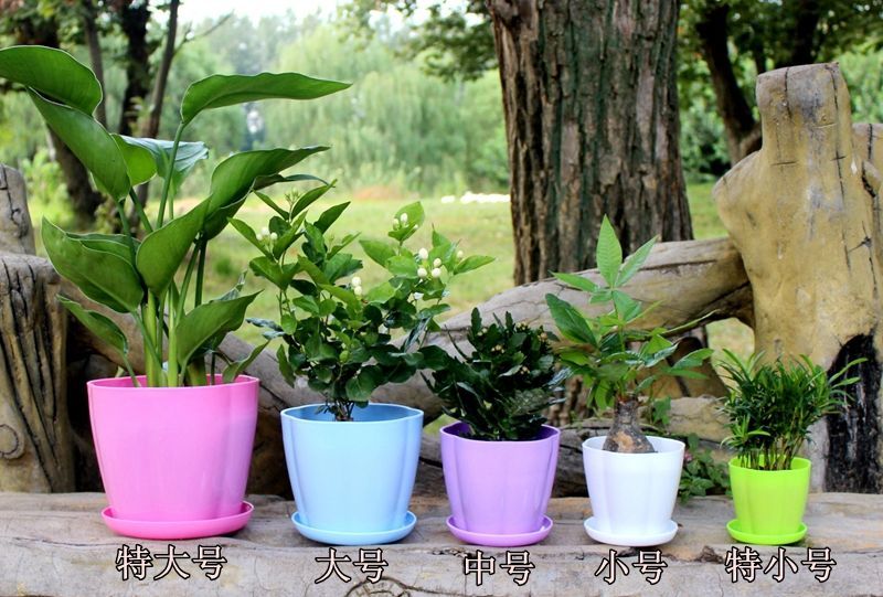 厂家环保塑料花卉花盆仿陶瓷彩色横纹绿植创意多肉花盆特价