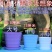 厂家环保塑料花卉花盆仿陶瓷彩色横纹绿植创意多肉花盆特价