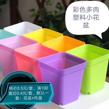 厂家特价100个多肉植物花盆彩色塑料花盆小花盆育苗盆带托