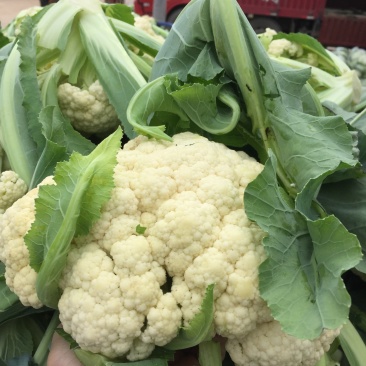 湖北有机花菜青梗散花大量供应产地直发